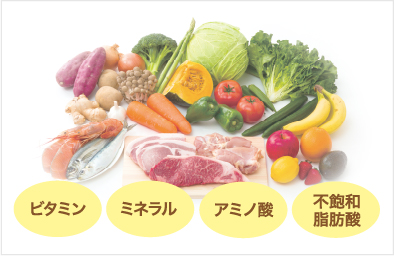 神秘の生物「ユーグレナ」