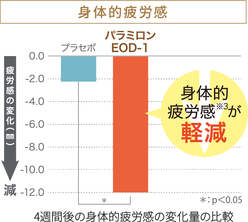 身体的疲労感