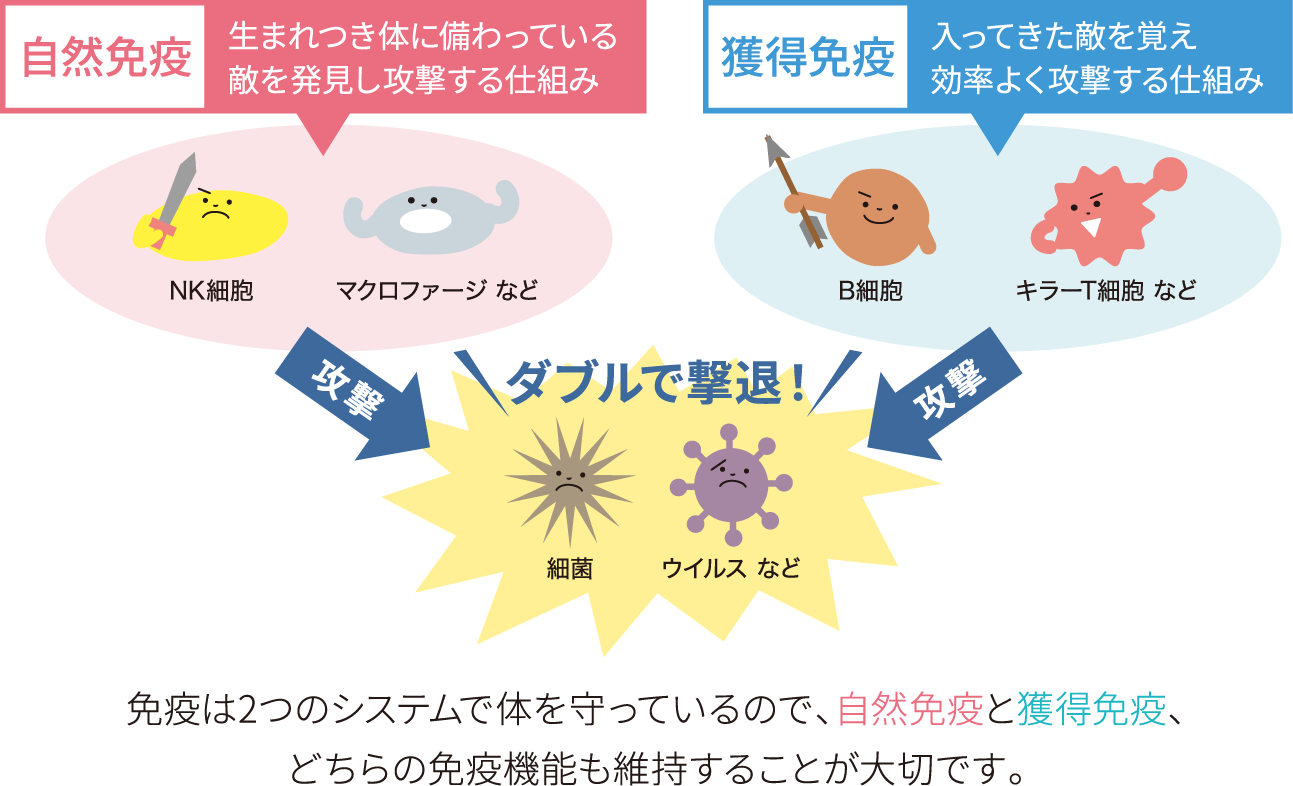 知っておきたいカラダを守る免疫のしくみ