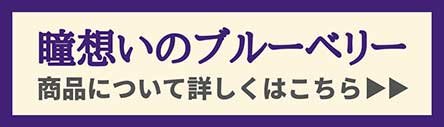 『瞳想いのブルーベリー』１袋　ご購入はこちら.jpg