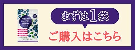 『瞳想いのブルーベリー』１袋　ご購入はこちら.jpg