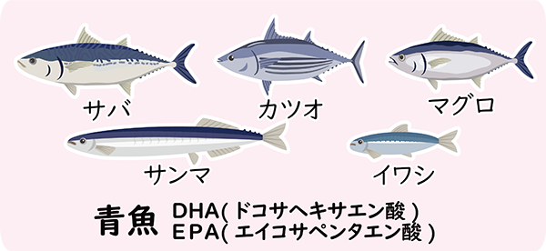 DHAやEPAが豊富な青魚.jpg